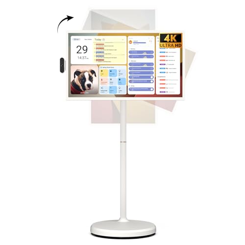 best portable smart tv